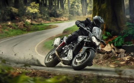 Şehir İçinde En Güvenli Fren | Ön-Arka Oranı Nasıl Olmalı?