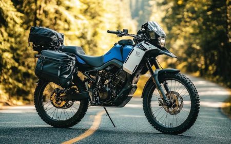 Zincir Ne Zaman Değişir? | Dişliyle Birlikte mi?